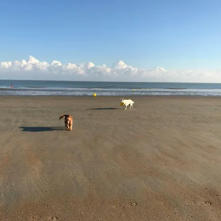 Apartment Les Abeilles *